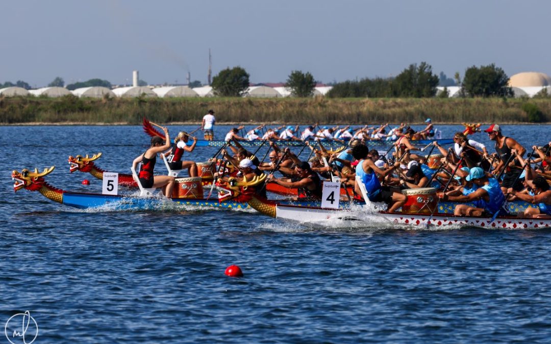 Participation of Athletes from Russia and Belarus at IDBF Championships